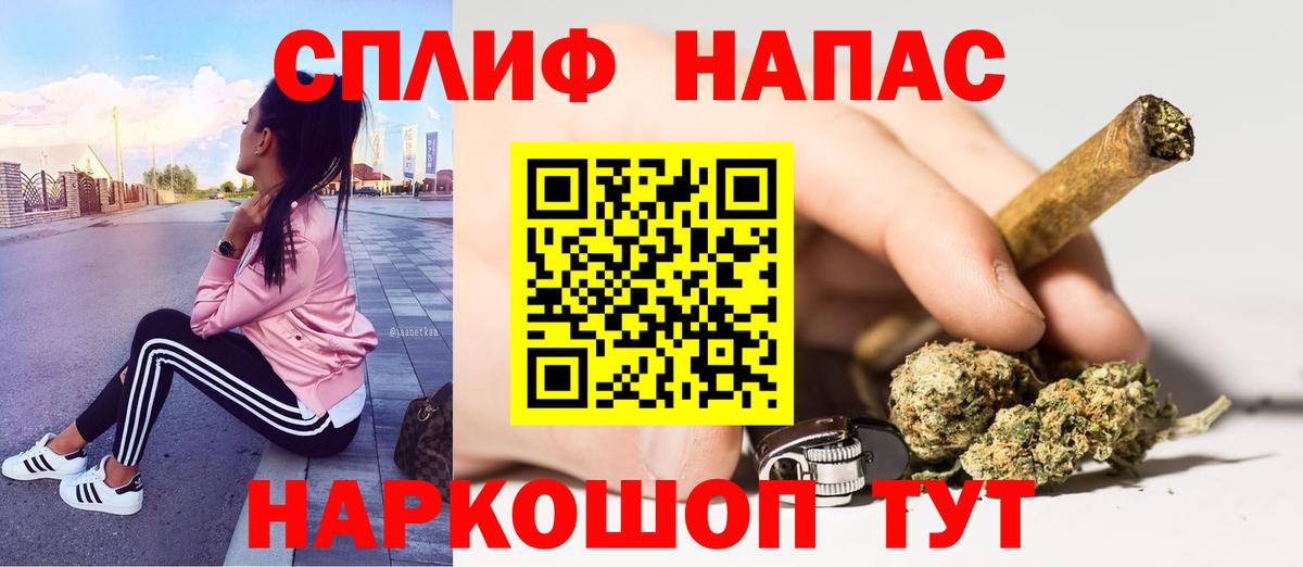 Конопля гибрид Дивногорск